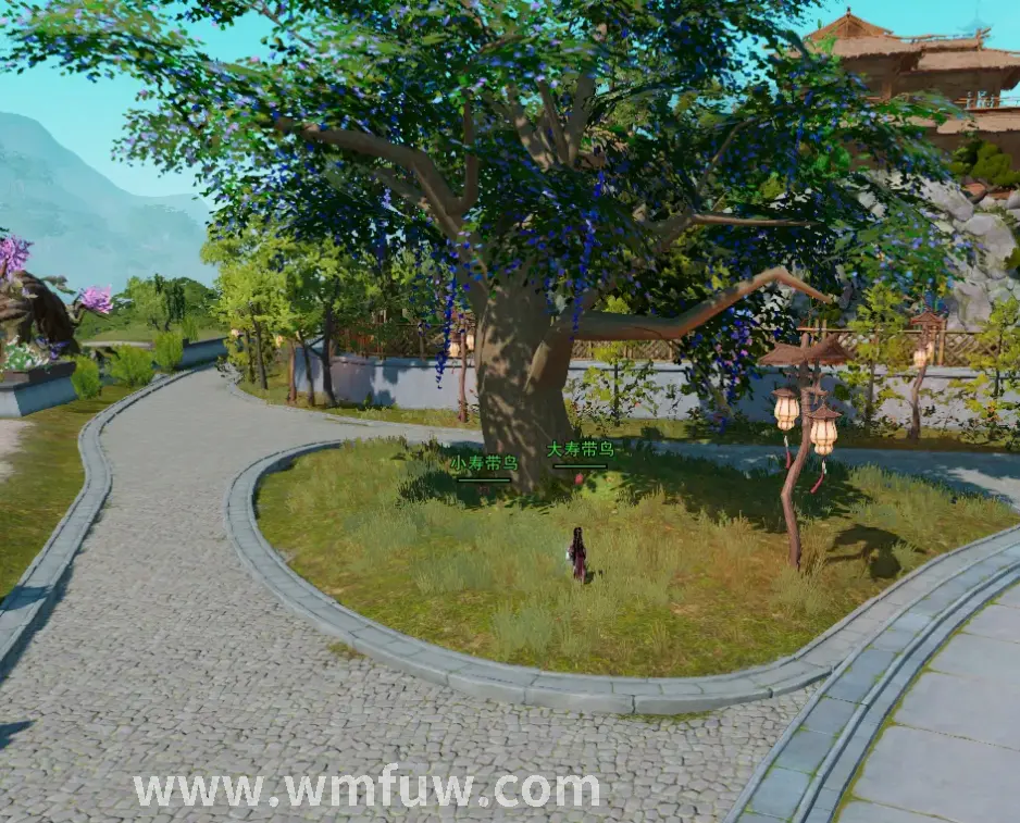 完美国际私服开服