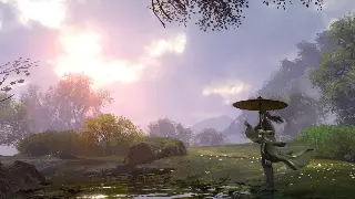 手把手教你玩转完美私服：超详细注册流程保姆级教程！