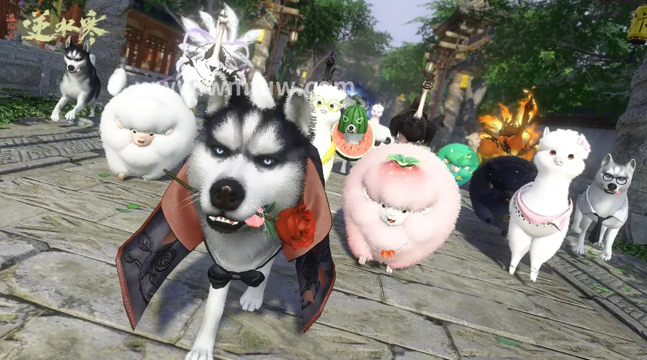 完美国际 平民攻略