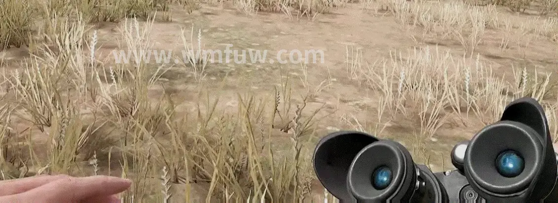 完美国际 道具用途