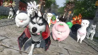 《完美国际》玩家心声：平民玩家的逆袭之路，如何在竞争中站稳脚跟？