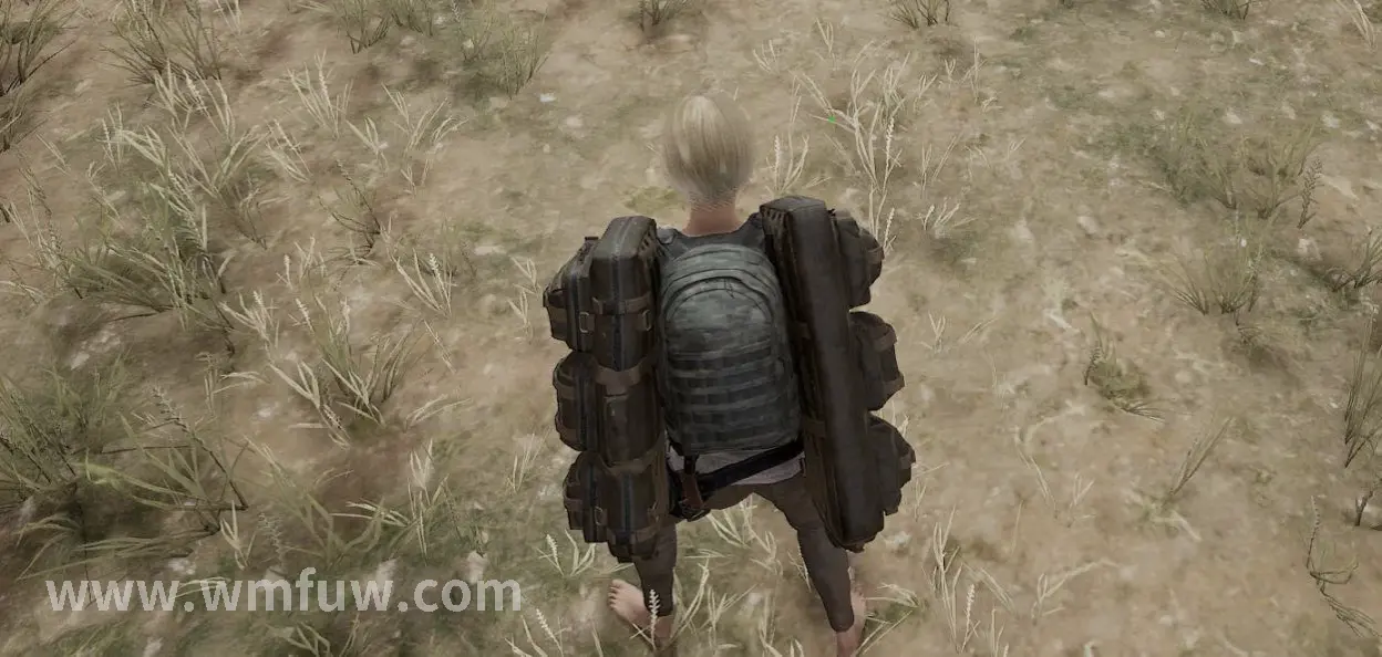 完美国际 广袤地图