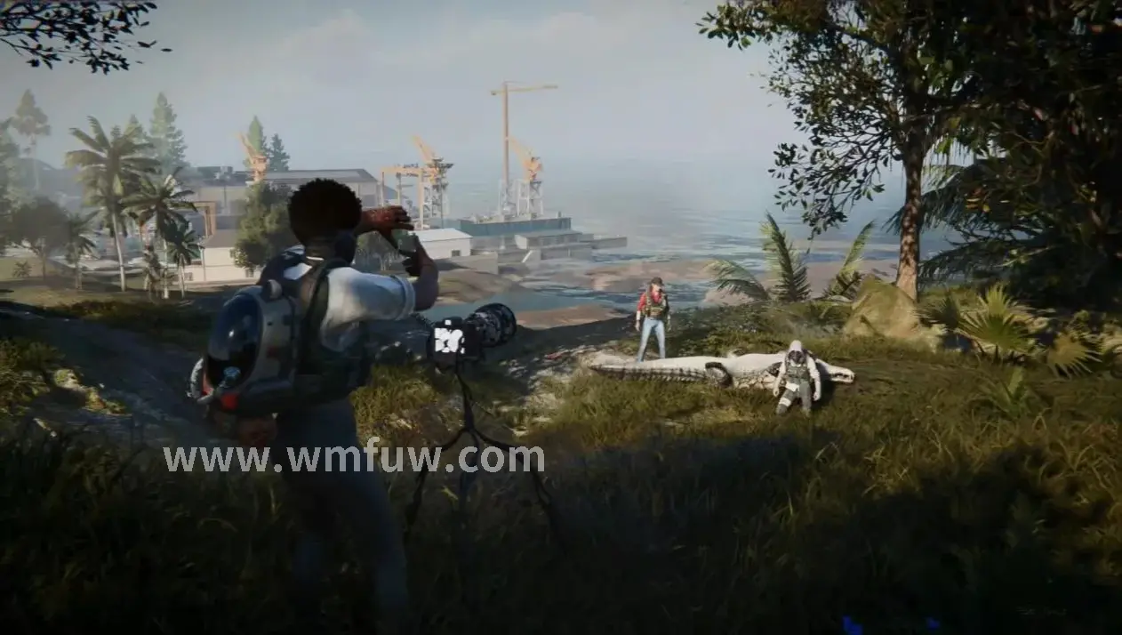 完美国际角色养成